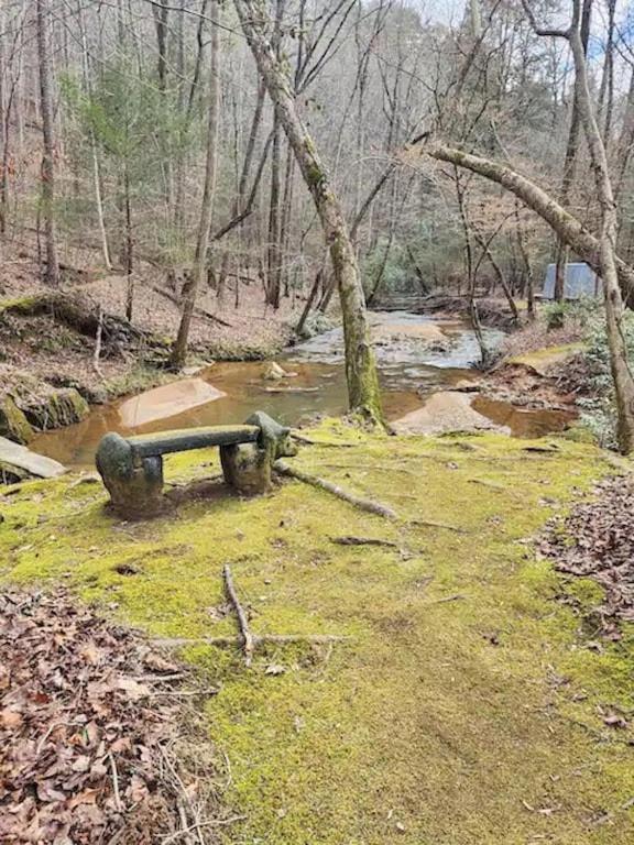 Cozy Cabin: River View With Hot Tub Dahlonega Exterior photo